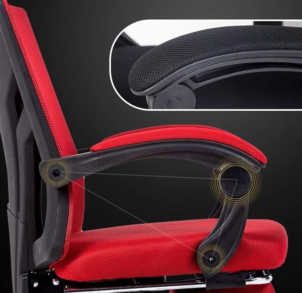 美株 ボンバックス サボテン 多肉植物 塊根 コーデックス 観葉植物